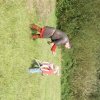 DSC02438s