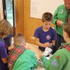 img-20170916-wa0053